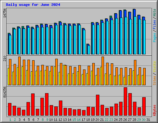 Daily usage for June 2024