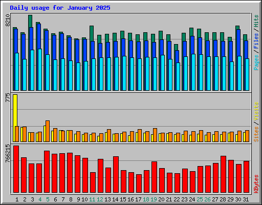 Daily usage for January 2025