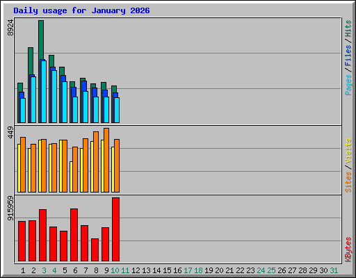 Daily usage for January 2026
