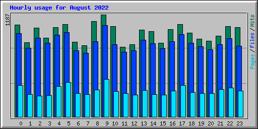 Hourly usage for August 2022