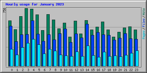 Hourly usage for January 2023