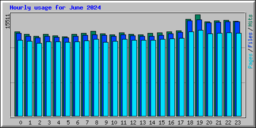 Hourly usage for June 2024