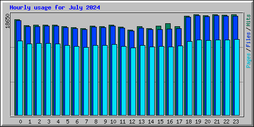 Hourly usage for July 2024