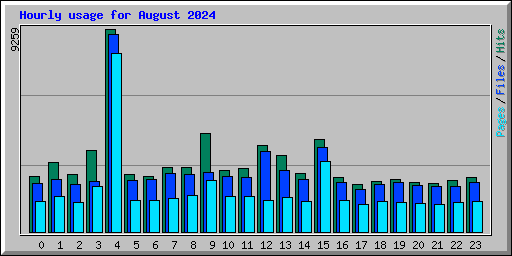 Hourly usage for August 2024