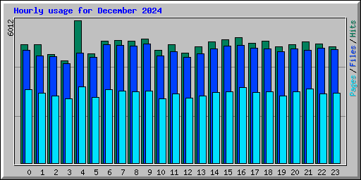 Hourly usage for December 2024