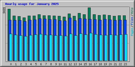 Hourly usage for January 2025