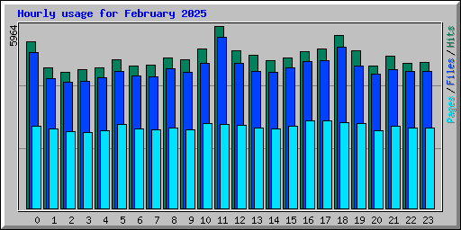 Hourly usage for February 2025