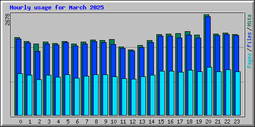 Hourly usage for March 2025