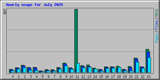 Hourly usage for July 2025