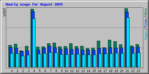 Hourly usage for August 2025