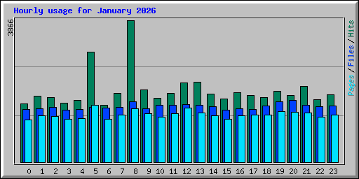 Hourly usage for January 2026