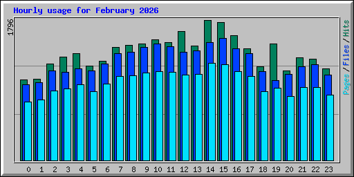 Hourly usage for February 2026